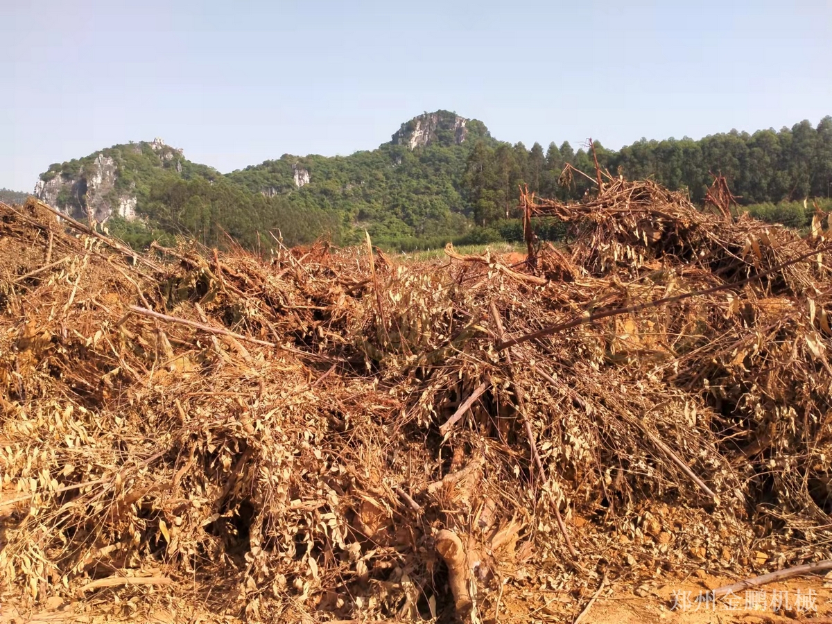 郑州金鹏圆盘式树根破碎机在树根树墩预粉碎处理中的工程应用