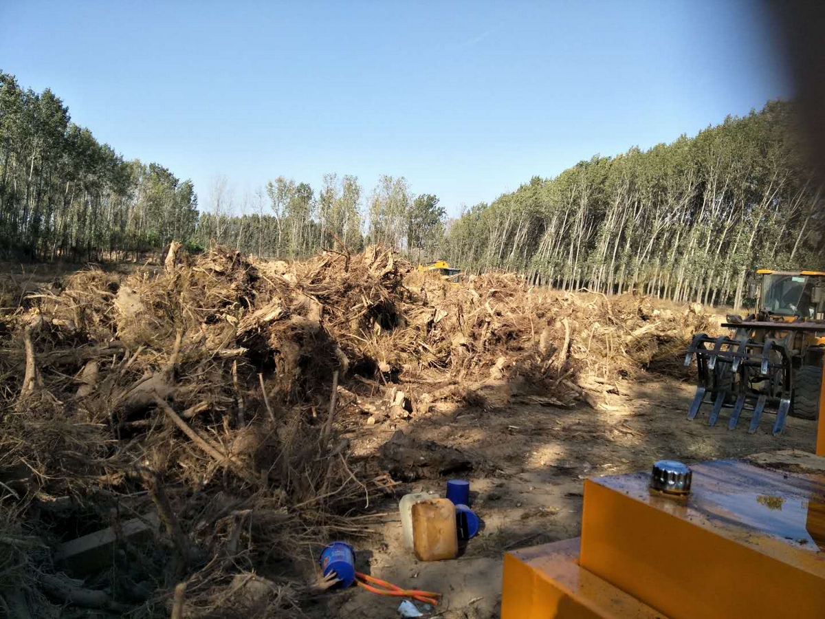 郑州金鹏树根粉碎机厂家设备选型与处理方案