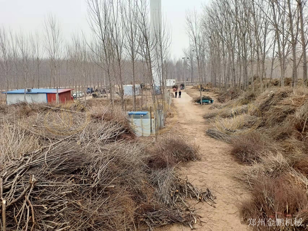 郑州金鹏树木粉碎机在生物质燃料预处理中的应用